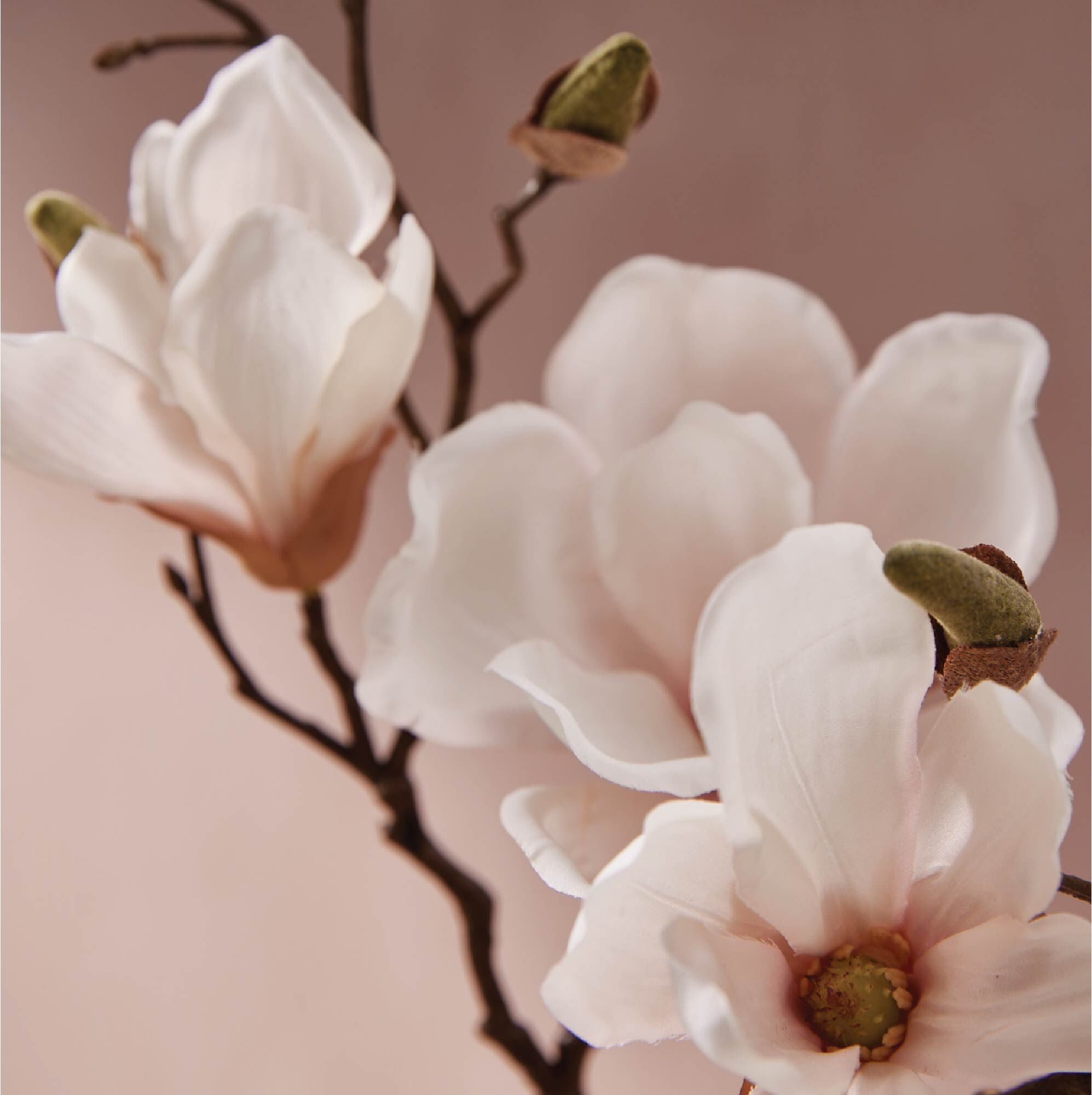 Magnolia Willow Countertop Spray - Image 3