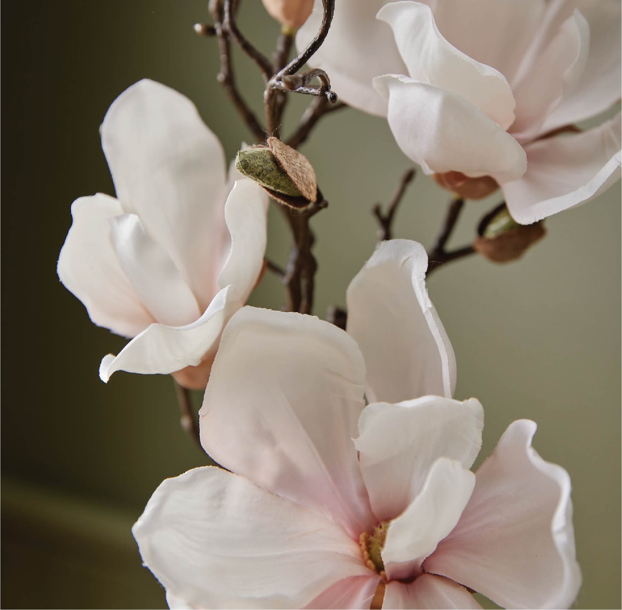 Magnolia Willow Hand Wash - Image 3