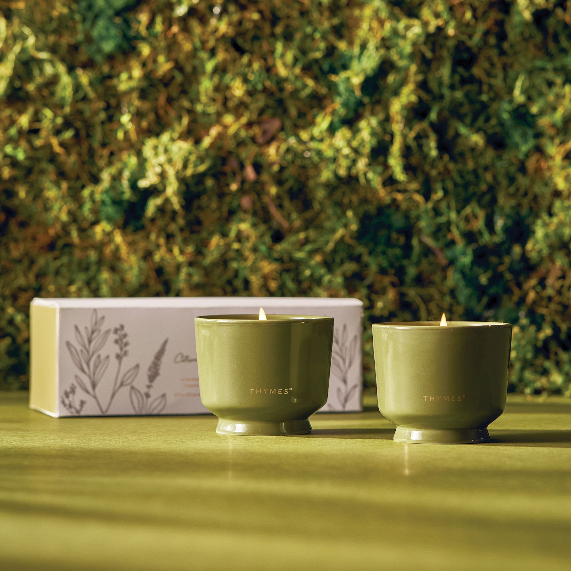 Outdoor Oasis Citronella Grove Aromatic Candle Set - Image 2